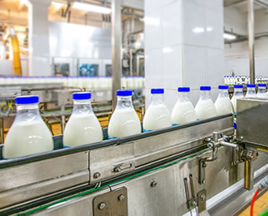Milk Dairy Plants